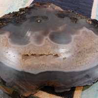Astounding One of a Kind Massive Polished Geode Slice - perfect for a Table Top or Display!