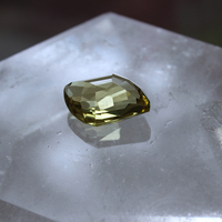 NEW! Rare Gem Collection Necklace with 9 Faceted Gemstones,Antique Pocket Watch Case, Sterling Belcher Chain and Sterling Tassel