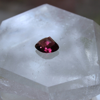 NEW! Rare Gem Collection Necklace with 9 Faceted Gemstones,Antique Pocket Watch Case, Sterling Belcher Chain and Sterling Tassel