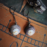 The Sea Cuff & Earring Set w/Found Shells, Sterling Chain, Dark Grey Silk Tassel, Sterling Earring Wires