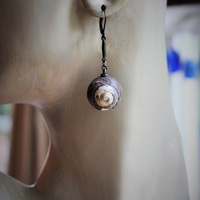 The Sea Cuff & Earring Set w/Found Shells, Sterling Chain, Dark Grey Silk Tassel, Sterling Earring Wires