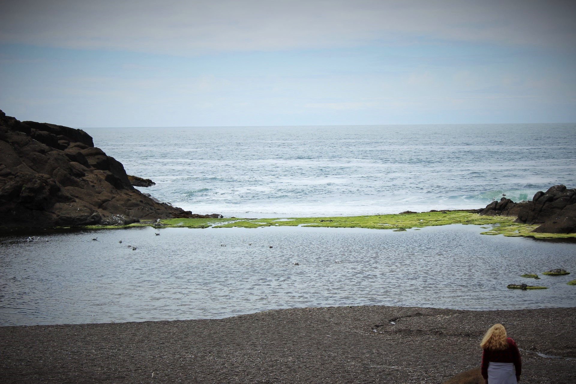 The Sea Cuff & Earring Set w/Found Shells, Sterling Chain, Dark Grey Silk Tassel, Sterling Earring Wires